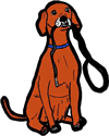 Dog Holding Leash