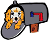 Dog in Mailbox