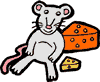 Full Mouse Laying on Cheese