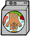 Cat in Washing Machine