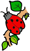 Lady Bug on Branch