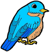 Blue Bird