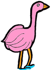 Flamingo