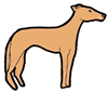 Greyhound