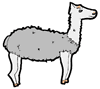 Llama