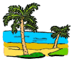 Palm Trees Clipart