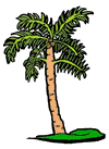 Palm Tree Clipart