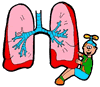 Human Lungs Clipart