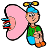 Human Kidney Clipart