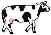 Holstein Cow