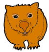 Wombat