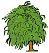 Weeping Willow Tree Clipart