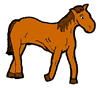Thin Horse