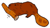 Beaver Chewing on Log