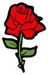 Red Rose