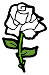 White Rose