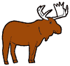 Moose