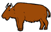 Bison