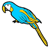 Parrot