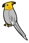 Cockatoo