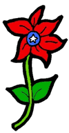American Inspired Flower