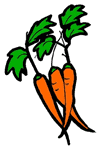 Carrots