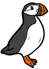Puffin
