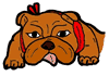 Cute Bulldog Clipart