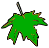 Leaf Clipart