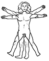 Vitruvian Man Clipart