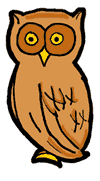 Owl