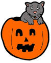 Cat in Pumpkin