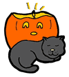 Black Cat Sleeping Next to Pumpkin