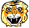 Tiger Face