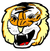 Tiger Face