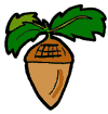 Acorn Clipart