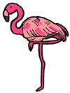 Pink Flamingo