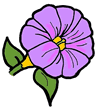 Morning Glory Clipart