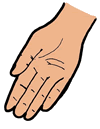 Hand Clipart