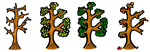 Seasons of Trees Clipart