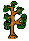 Tree Clipart