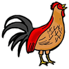 Rooster
