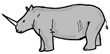 Rhinoceros