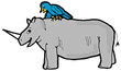 Rhinoceros with Bluebird