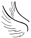 Wings Clipart