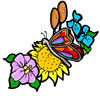 Butterfly Resting on Sunflower Clipart