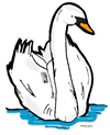 Swan