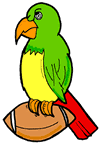 Parrot Standing on Football