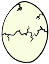 Cracked  Egg