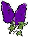 Ivy Lilac Clipart
